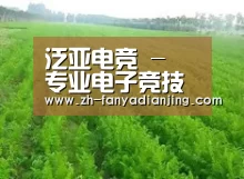 种植基地四