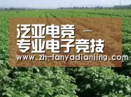 种植基地五(图1)