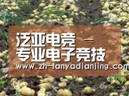 种植基地七