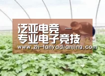 种植基地三