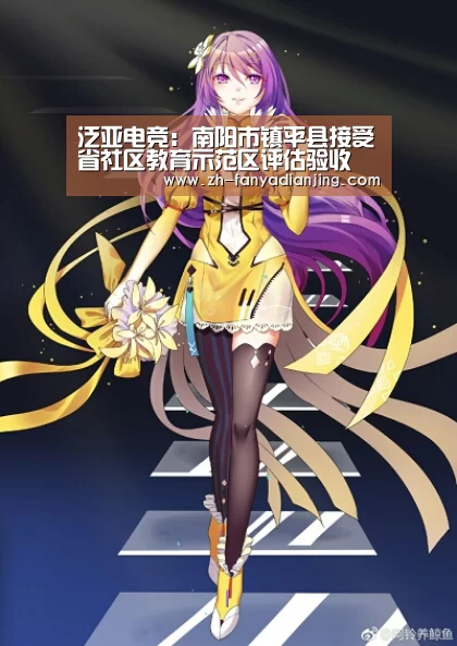 泛亚电竞:南阳市镇平县接受省社区教育示范区评估验收(图3) 泛亚电竞