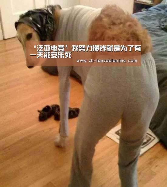 ‘泛亚电竞’我努力攒钱就是为了有一天能安乐死(图1) 泛亚电竞