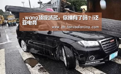 .wang顶级域名,你拥有了吗?|泛亚电竞(图1) 泛亚电竞