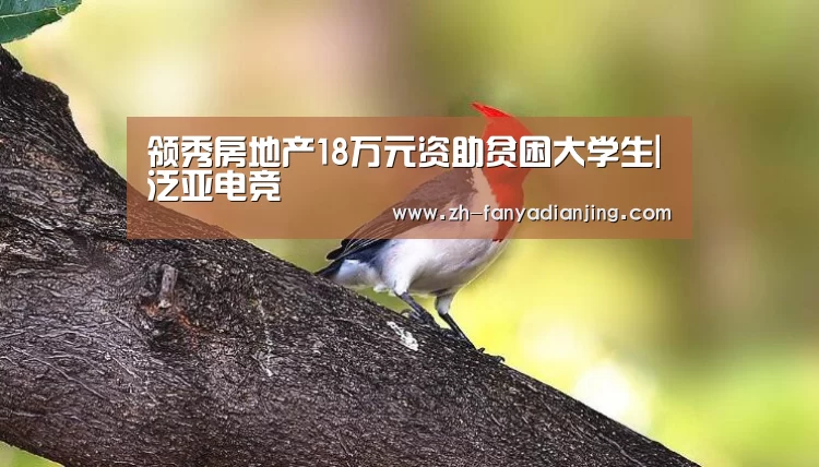 泛亚电竞