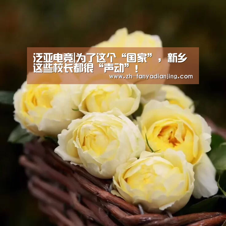 泛亚电竞|为了这个“国家”,新乡这些校长都很“声动”!(图4) 泛亚电竞