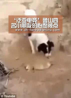 泛亚电竞