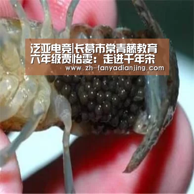 泛亚电竞|长葛市常青藤教育六年级贾怡雯:走进千年宋城(图1) 泛亚电竞