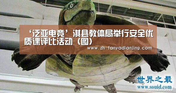 ‘泛亚电竞’淇县教体局举行安全优质课评比活动(图)(图4) 泛亚电竞