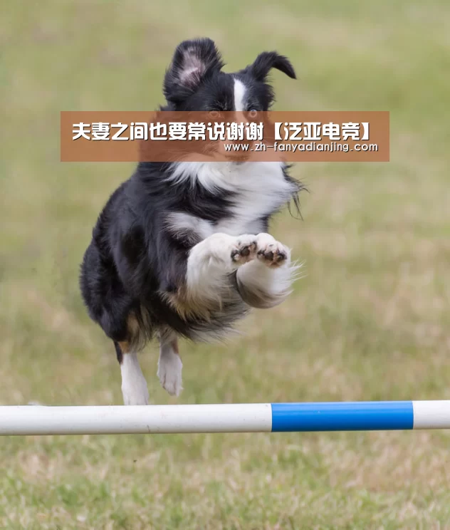 泛亚电竞